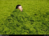 تفریح و شنا در سواحل و دریای جلبکی چین