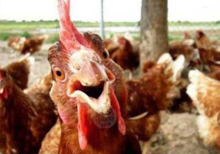 تصاویر طنز بیا بشین اینجا عشقم !