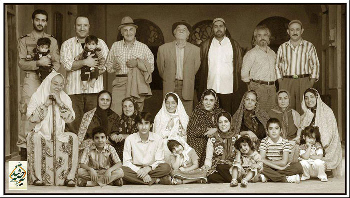 شیرینی یک حبه قند ژاپنی اصل