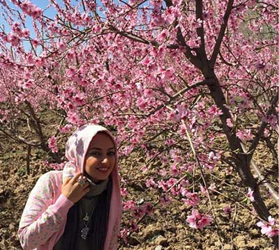 خلاصه ای از زندگی نفیسه روشن در سفر