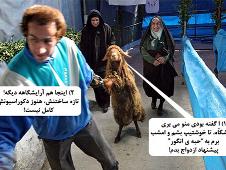 تصاویر طنز قبل از قربانی کردن گوسفندان