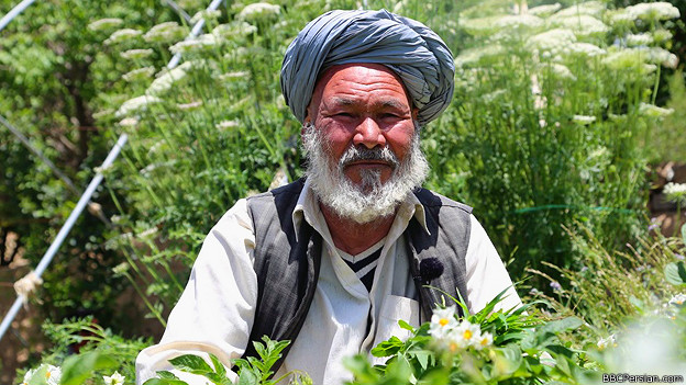 آشنایی با لیلی و مجنون افغانی