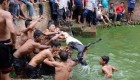 فستیوال منزجر کننده زجرکش کردن حیوانات
