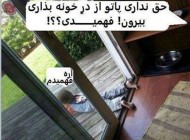 عکس های طنز سال سری مهر 94