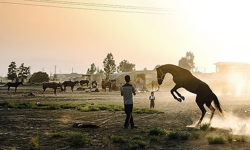 تصاویر  فیلم موفق و دلنشین آتلان در جغرافیایی خاص