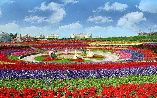 تصاویری از زیباترین و بزرگترین باغ گل جهان در دبی