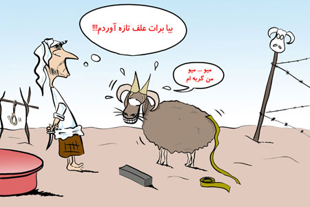 تصاویر طنز قبل از قربانی کردن گوسفندان