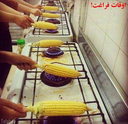زندگی دانشجویی یعنی این