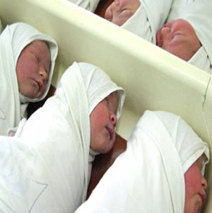 انتصاب وزیر زاد و ولد!