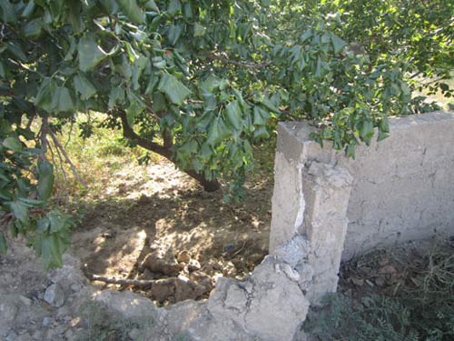 خودکشی وحشتناک جوان 24 ساله در کرج + عکس