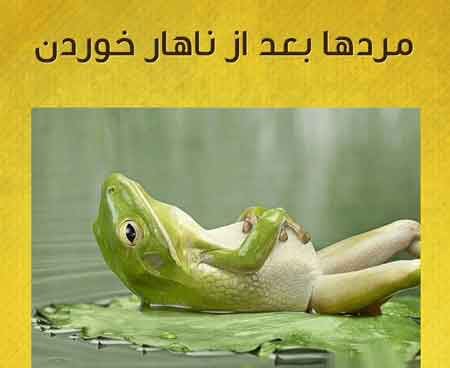 عکس نوشته های خنده دار و بامزه