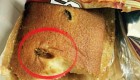 سوسک های پخته در کیک بسته بندی ایرانی + تصاویر