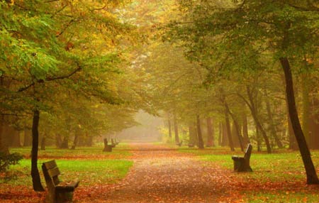 عکسهای زیبای مناظر پاییزی در نقاط مختلف جهان