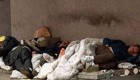 سه کارتن خواب از شدت گرسنگی یک مرد را خوردند +عکس