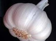 سیر چینی در بازار ایران سمی است نخرید
