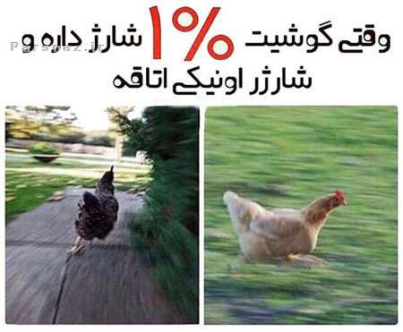 جدیدترین عکسهای خنده دار و باحال تلگرام