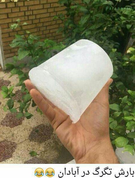 جدیدترین عکس های خنده ‌دار و بامزه