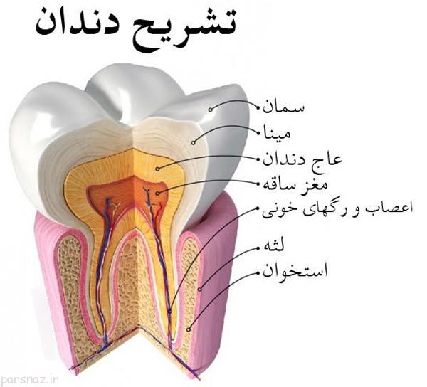 دندان های حساس و توصیه های دندان پزشکان