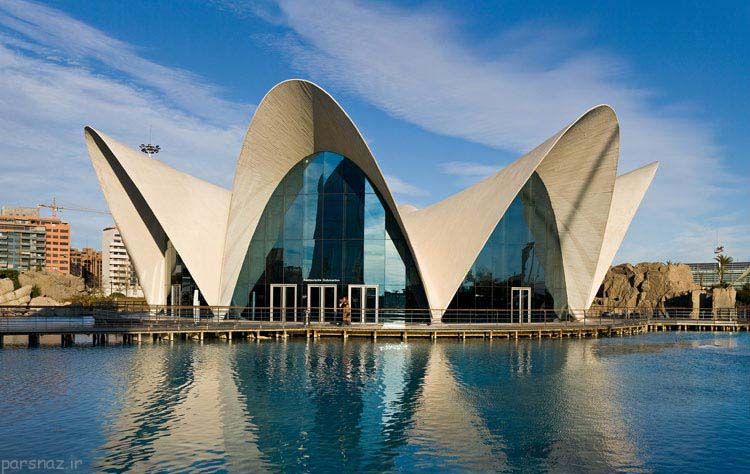 آکواریوم های برتر دنیا را بهتر بشناسید