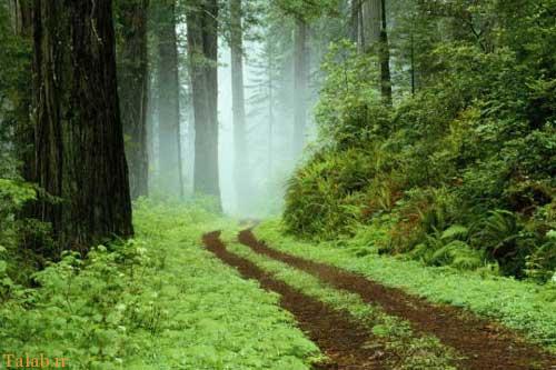 عکسهای طبیعت مناظر در 4 فصل زیبای جهان