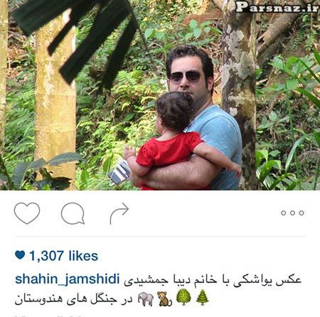 گالری عکس های بازیگران و ستاره های مشهور ایرانی