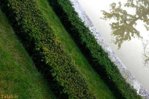 عکسهای طبیعت مناظر در 4 فصل زیبای جهان