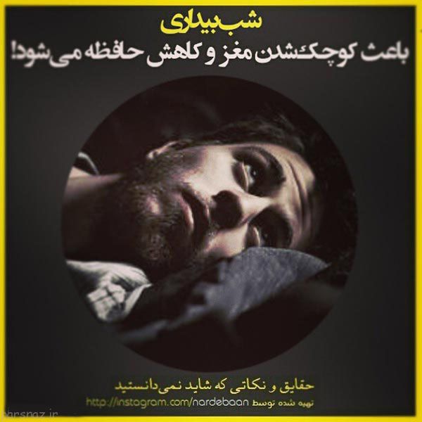نکات و حقایقی در زندگی که باید بدانید