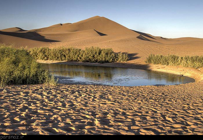 کویرگردی در طبیعت تالاب پساب یزد