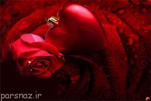 عکس های دیدنی و عاشقانه از گل های رز