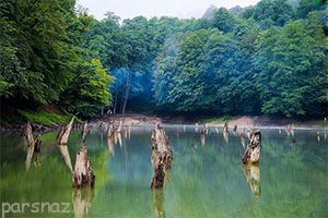 آشنایی با یکی از زیباترین جنگل مازندران
