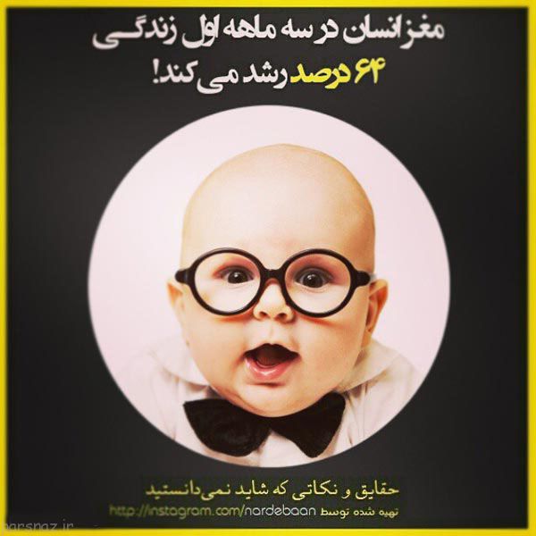 نکات و حقایقی در زندگی که باید بدانید
