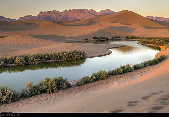 کویرگردی در طبیعت تالاب پساب یزد