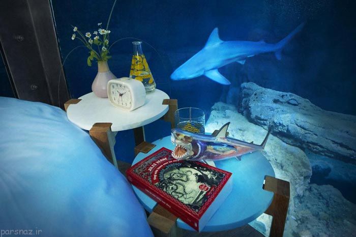 اتاق خوابی شیشه ای محصور در کنار کوسه ها