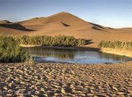 کویرگردی در طبیعت تالاب پساب یزد