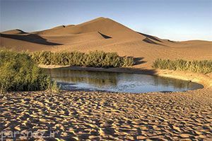کویرگردی در طبیعت تالاب پساب یزد