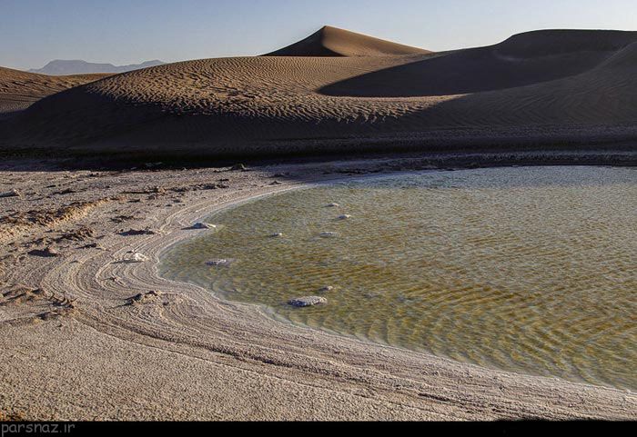کویرگردی در طبیعت تالاب پساب یزد