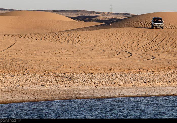 کویرگردی در طبیعت تالاب پساب یزد