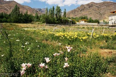 تاریخچه و جاذبه های گردشگری شهر طالقان (عکس)