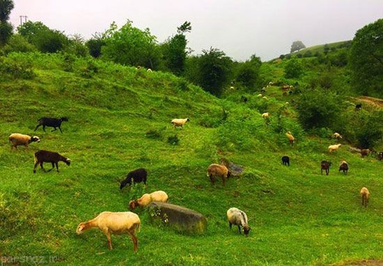 سرزمین بهشتی فوق العاده در نزدیکی تهران بزرگ