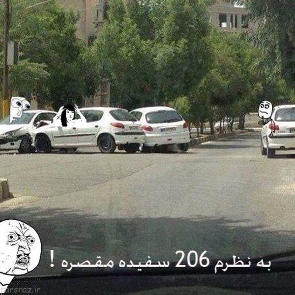 مجموعه ای جالب از تصاویر بامزه و متنوع هفته