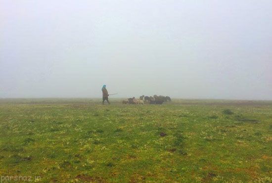 سرزمین بهشتی فوق العاده در نزدیکی تهران بزرگ
