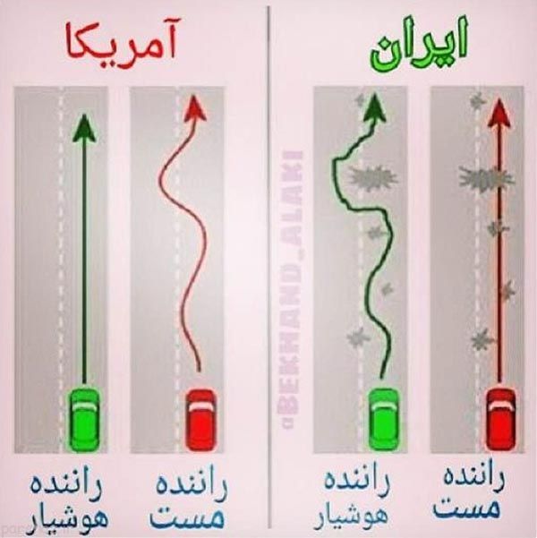 مجموعه ای جالب از تصاویر بامزه و متنوع هفته