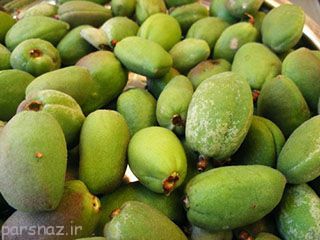 چغاله بادام و تاثیر آن روی سیستم گوارش