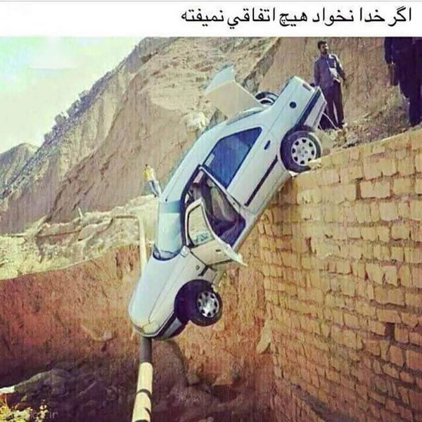 مجموعه ای جالب از تصاویر بامزه و متنوع هفته