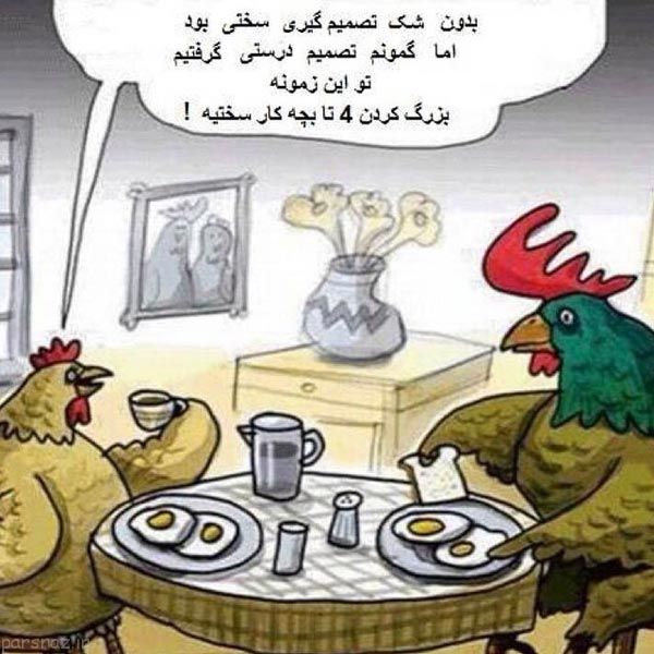 مجموعه ای جالب از تصاویر بامزه و متنوع هفته