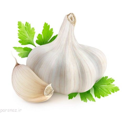 سیر و تاثیر آن روی ریه انسان