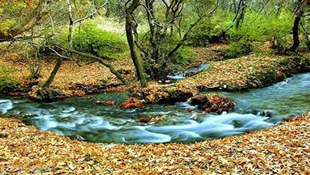 زیبایی های سراب نهاوند به روایت تصویر