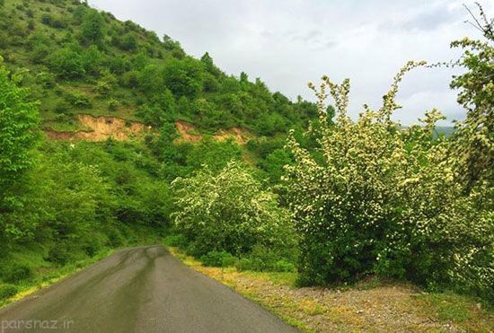 سرزمین بهشتی فوق العاده در نزدیکی تهران بزرگ