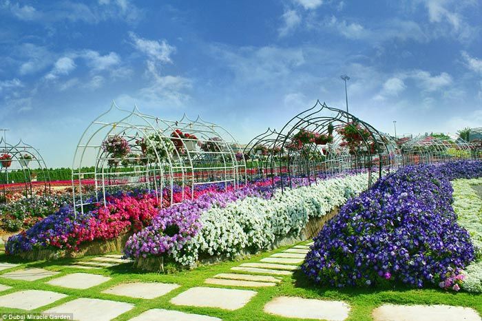 عکس های زیبا از بزرگترین باغ گل دنیا در دبی