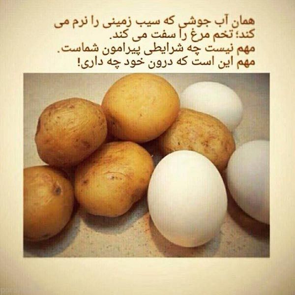 مجموعه ای جالب از تصاویر بامزه و متنوع هفته